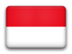 Indonesia fancy flag 80x60
